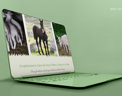 Site web d'élevage et vente de viande d'agneau