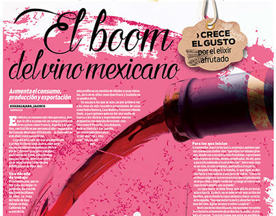 Mexican wine