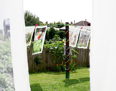 The Wonder Allotments | Photography exhibition