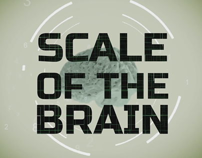 Scale of the Brain: Infographic Video