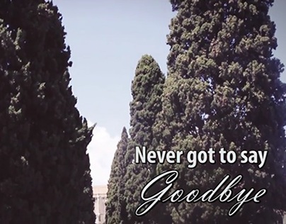 Never Got To Say Goodbye (video)