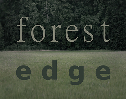 forest edge (Waldrand)