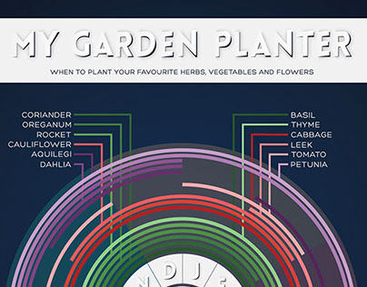 My Garden Planter Infographic
