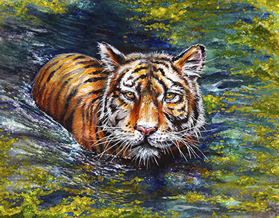 Тигр акварельний малюнок.Tiger Watercolor.