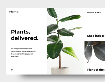 Plants | Web Design