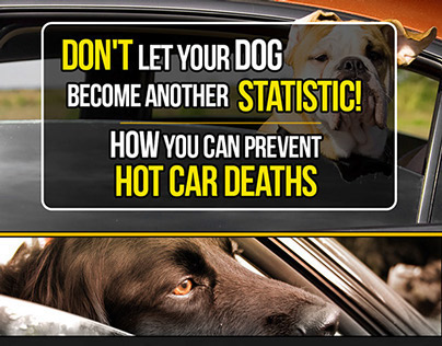 Dogs Are Dying In Hot Cars