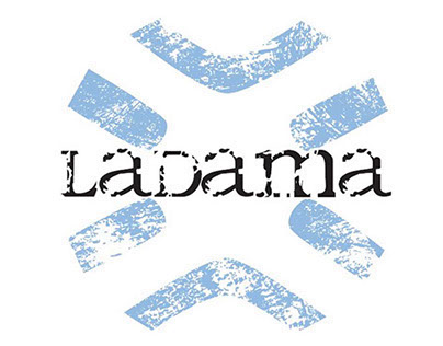LaDama Sportswear: Bachelor thesis