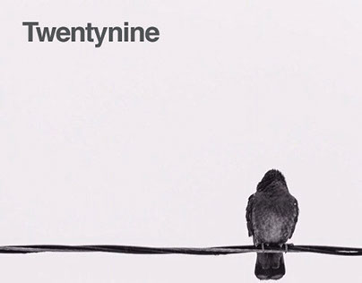 Twentynine: Free Wordpress Theme