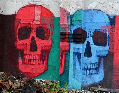 Four unknown skulls