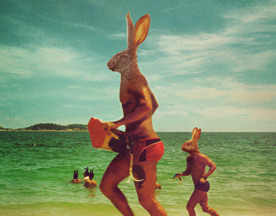 Rabbits on the Beach