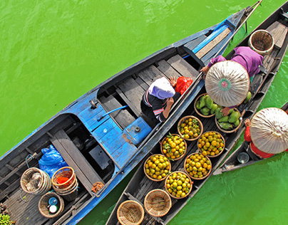 Vietnam Market and Fruit Exports