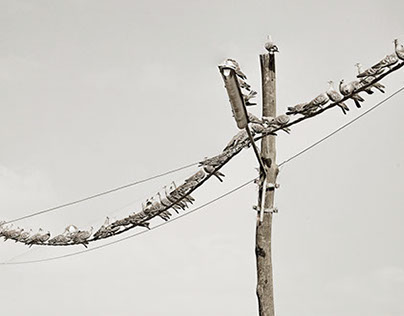 Ethiopia Wires