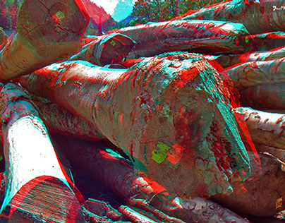 3D ANAGLYPH