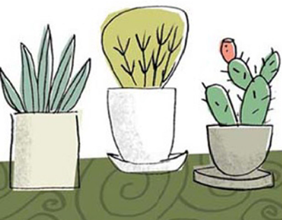 pots and ppots and plants. Editoriallants
