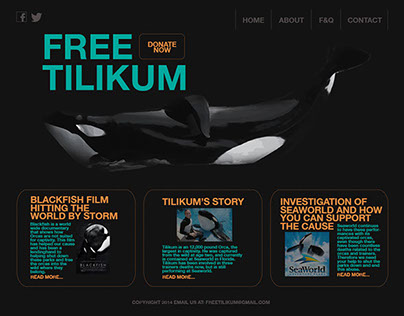 Free Tilikum Layer Comps for Website