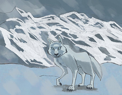 Winter Wolf of the mountains