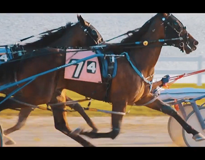 Indiana Harness Racing at Hoosier Park