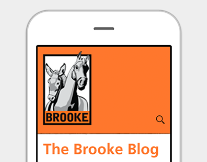 The Brooke - UX Design