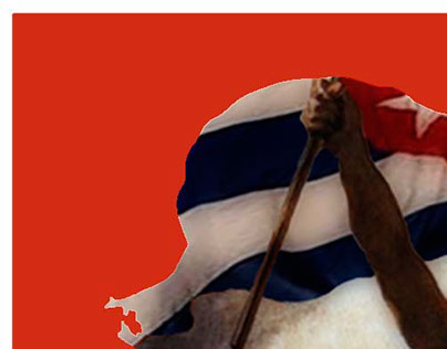 Afiche Ernesto Guevara
