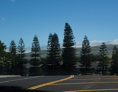 hawaii, the big island