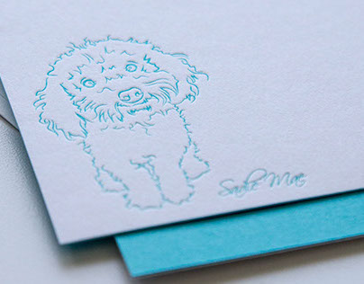 Digital Illustration for letterpress: Pets