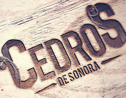 Propuesta logo e imagen corporativa - Cedros de Sonora