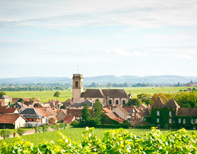 Bourgogne | 2014 (part3)
