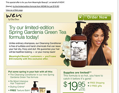 Email design for WEN hair care