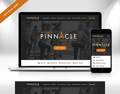 Pinnacle Health And Fitness