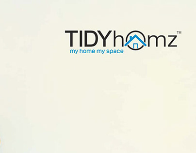 Tidy Homz Social Media Campaigns