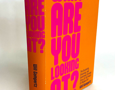 WHAT ARE YOU LOOKING AT? book jacket redesign