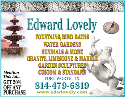 Edward Lovely Solutions Ad