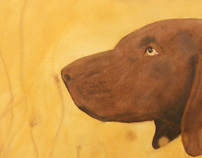 Chocolate Lab Watercolor