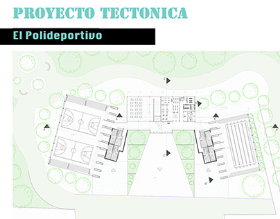 Proyecto Tectónica 