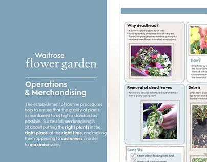Waitrose Flower Garden