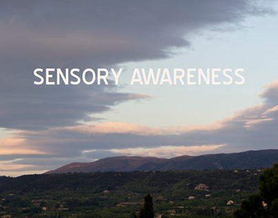 Sensory Awareness Process Book