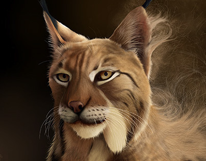 Lynx Pardinus