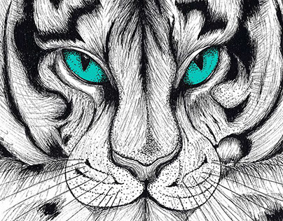 Ilustración tigre