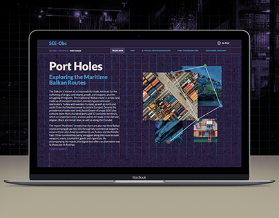 Port Holes - SEE-Obs