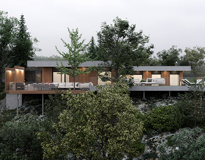 The project of a private villa in Prague