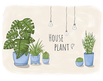 "House Plant"