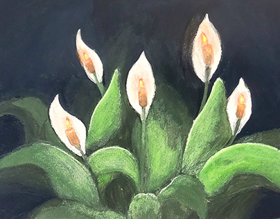 Peace Lily Candlelight
