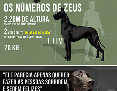 Zeuz, o maior cão domundo