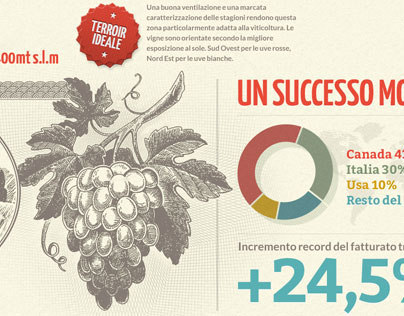 Umberto Cesari Wines | Infographic