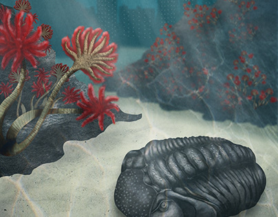 trilobite illustration