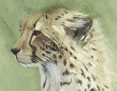Cheetah Cub I, chalk pastel on board
