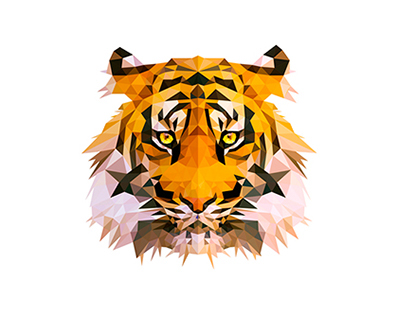 ▲ Wild Vectors and Triangles 1 - Tiger