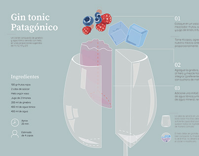 Gin Tonic Patagónico. Infografía