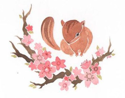 squirrel & cherry blossoms