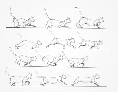 Cats - drawing on iPad
